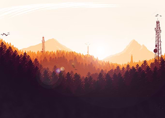 Sunset at Forest