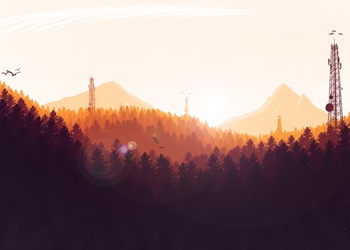 Sunset at Forest
