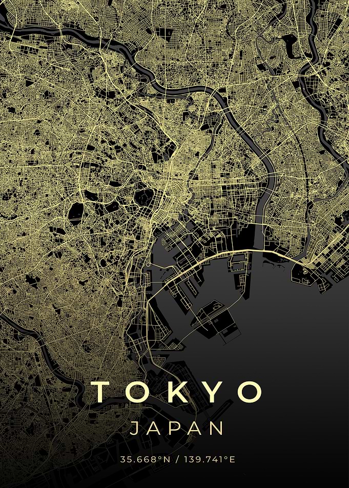 Tokyo City Map