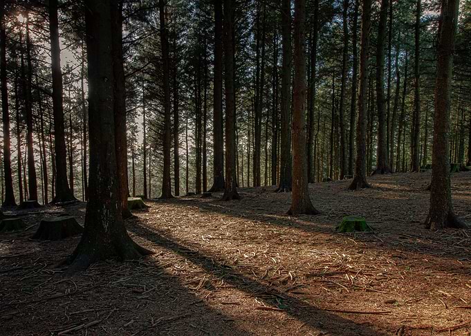 Beacon Fell 1
