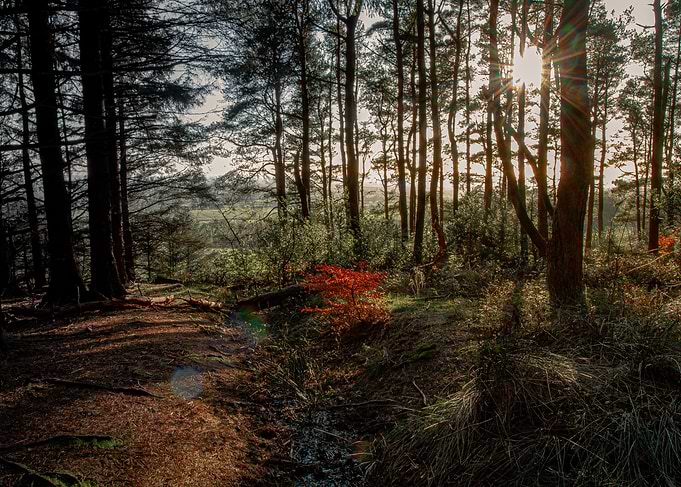 Beacon Fell 2