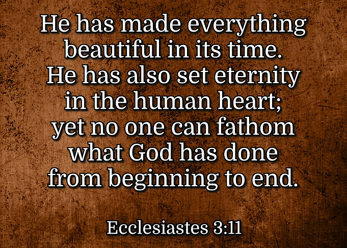 Beautiful In Its Time 311