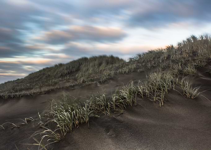 Shifting Sands