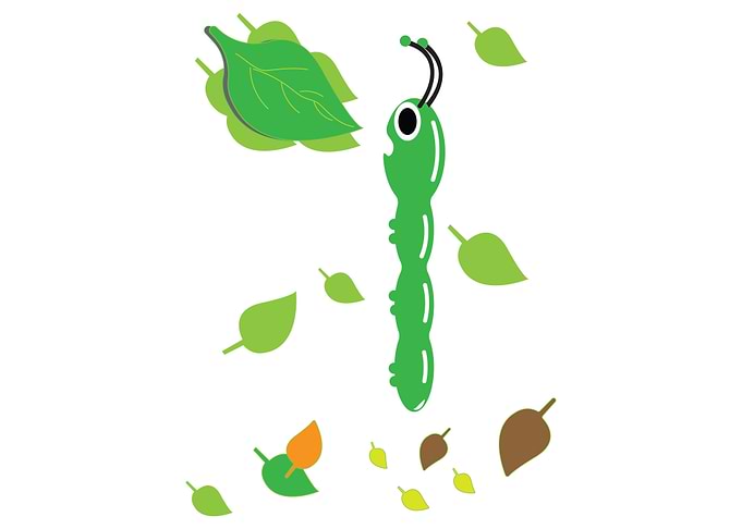 Hungry Caterpiller
