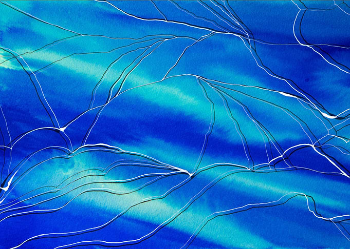 The net over sea
