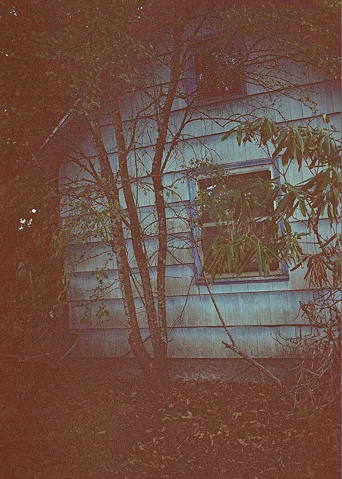 Overgrown Not Forgotten