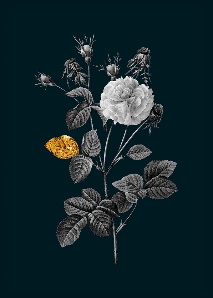 Teal and Gold Agatha Rose