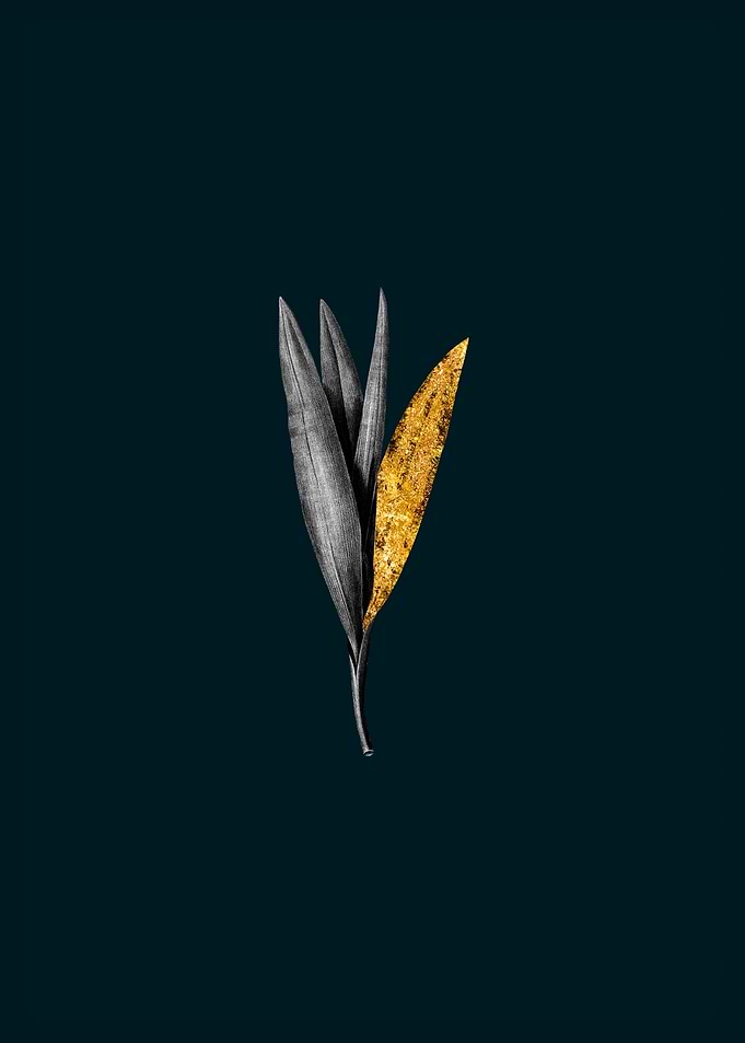 Teal and Gold Crocus
