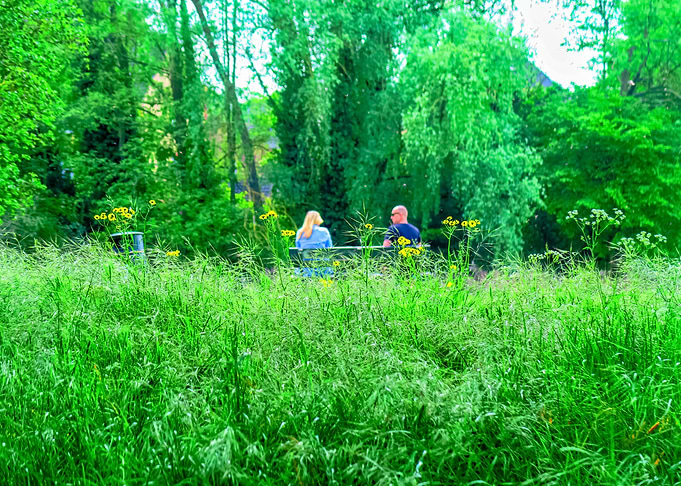 Summers Love