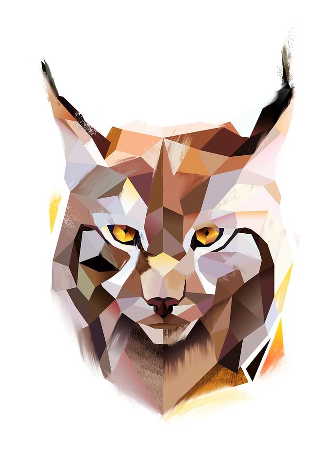 Lynx