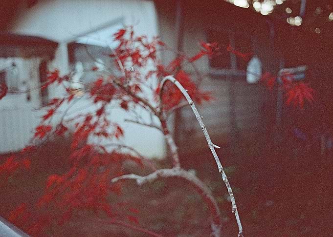 Decorative Red Detail