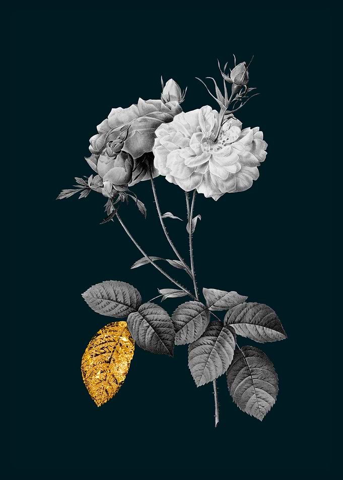 Teal and Gold Damask Rose