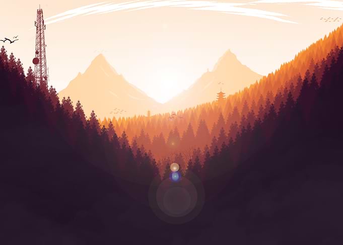 Sunset at Forest