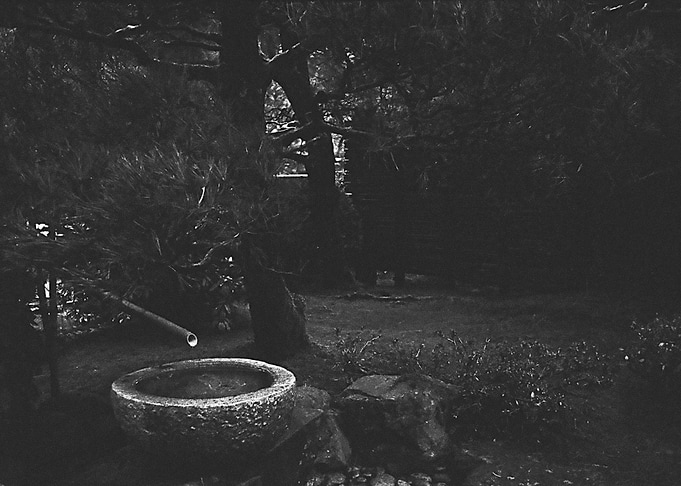 Bamboo Fountain 2