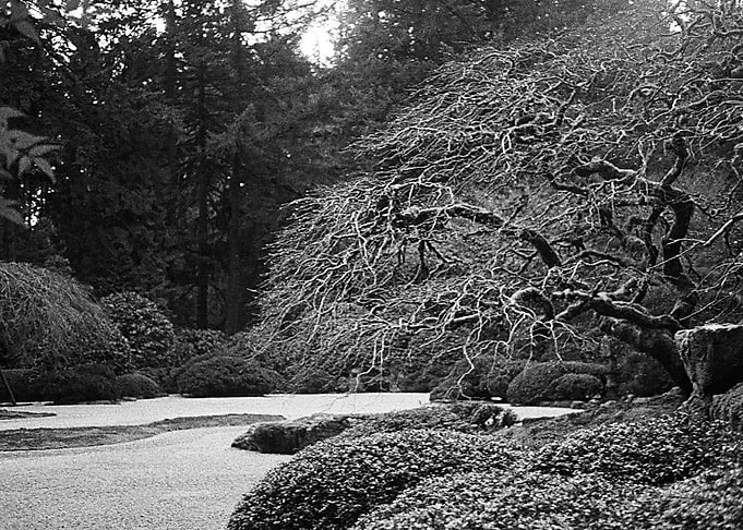Zen Garden