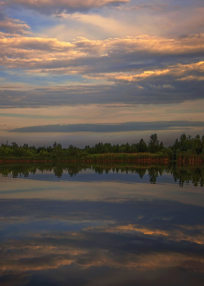 On the shore of the lake
