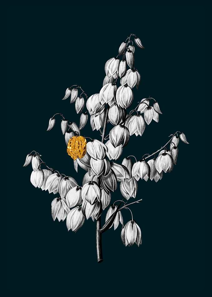 Teal and Gold Aloe Yucca