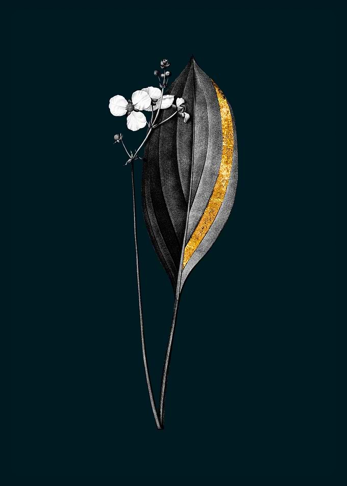 Teal and Gold Arrowhead
