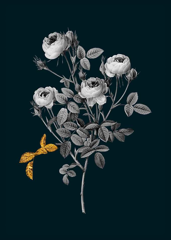 Teal and Gold Roses