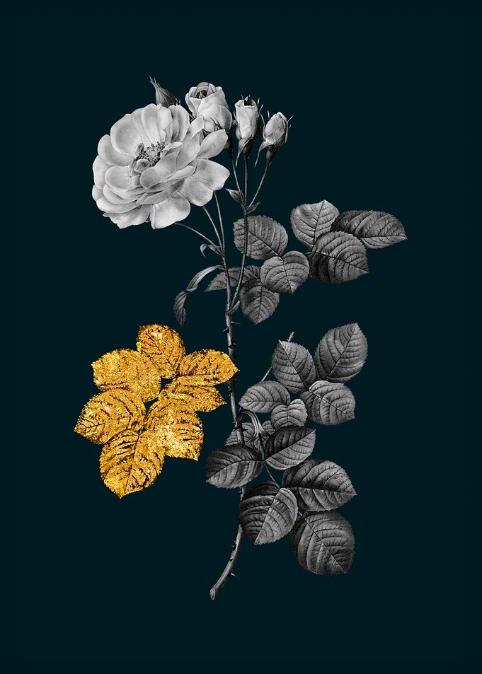 Teal and Gold Damask Rose