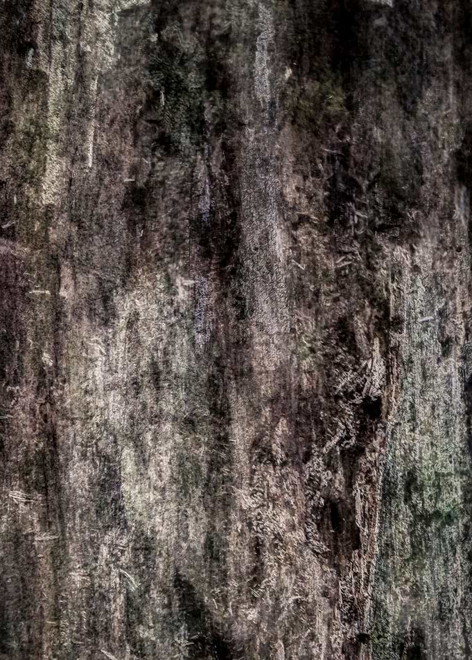 Image D