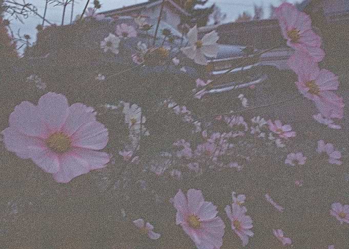 Pushing Floral Exposure