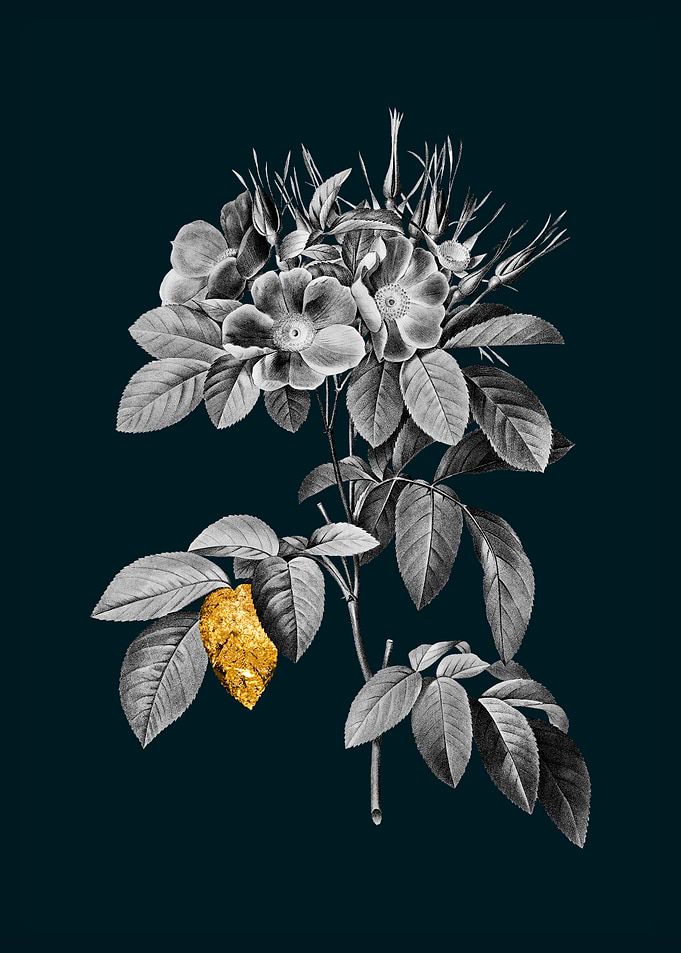 Teal and Gold Pasture Rose