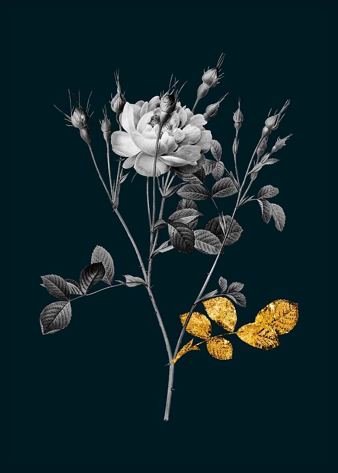 Teal and Gold Rose