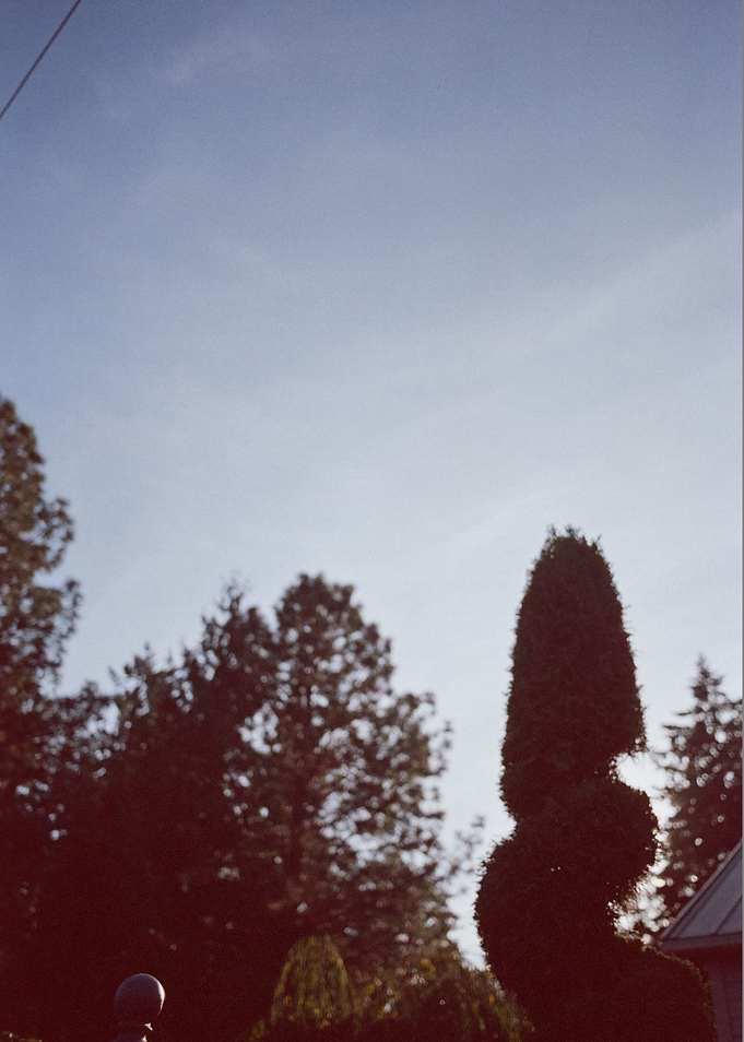 Topiary Rising