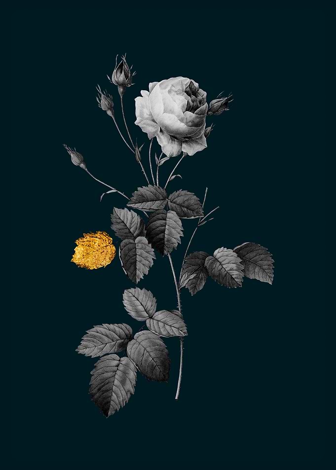 Teal Gold Provence Rose