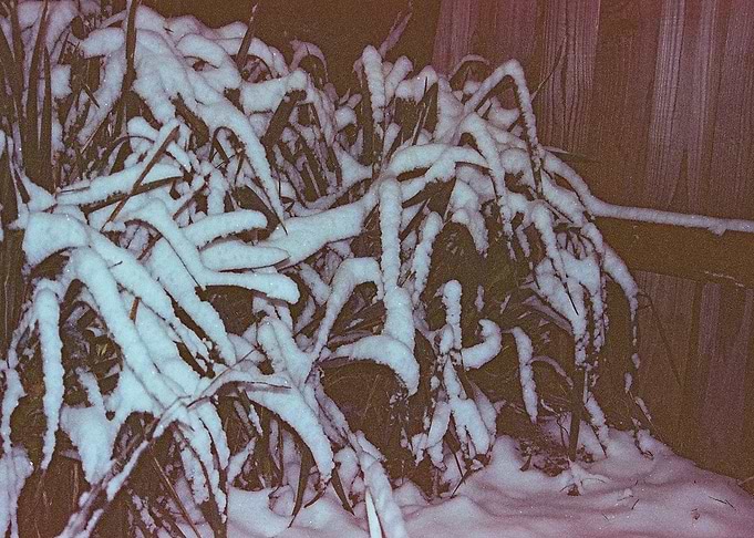 Overwintering 1