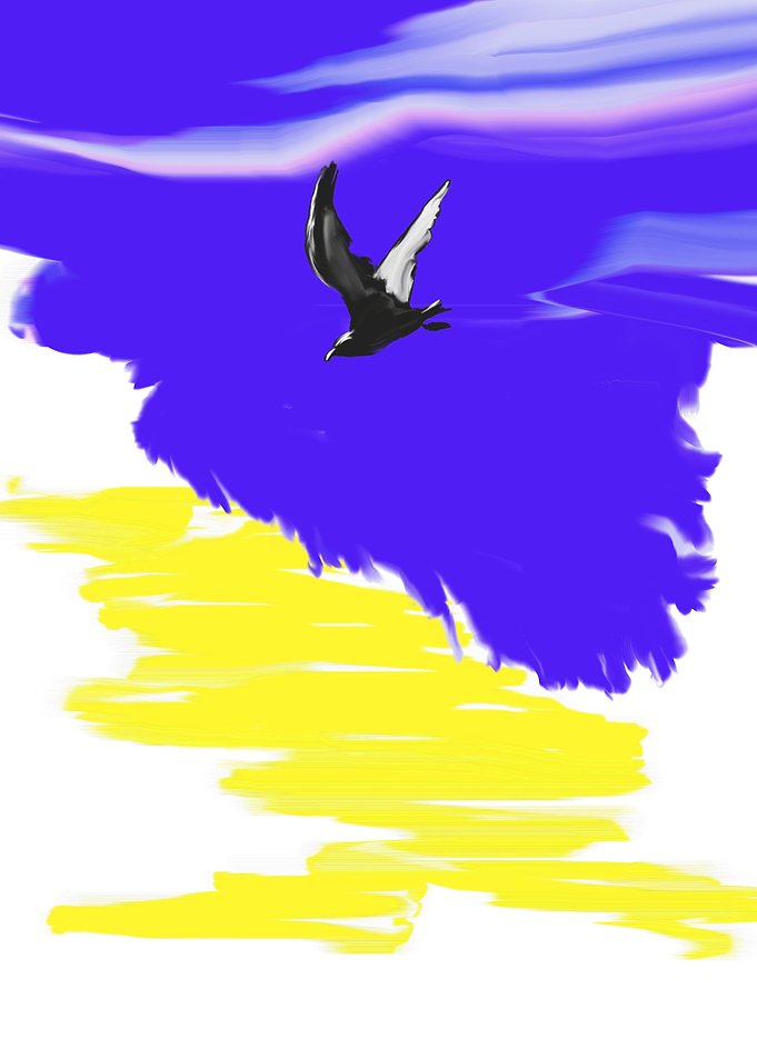 Seagull4