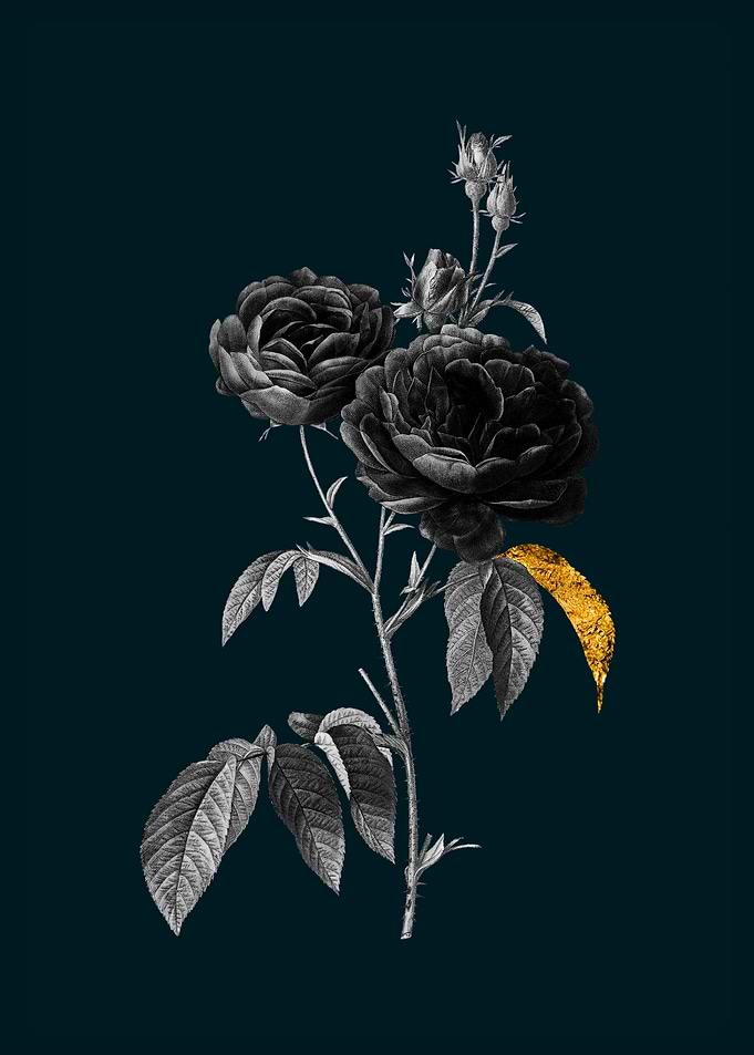Teal and Gold Purple Roses
