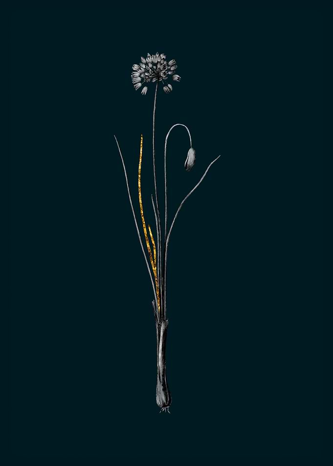 Teal and Gold Autumn Onion