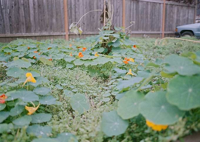 First of the Roll