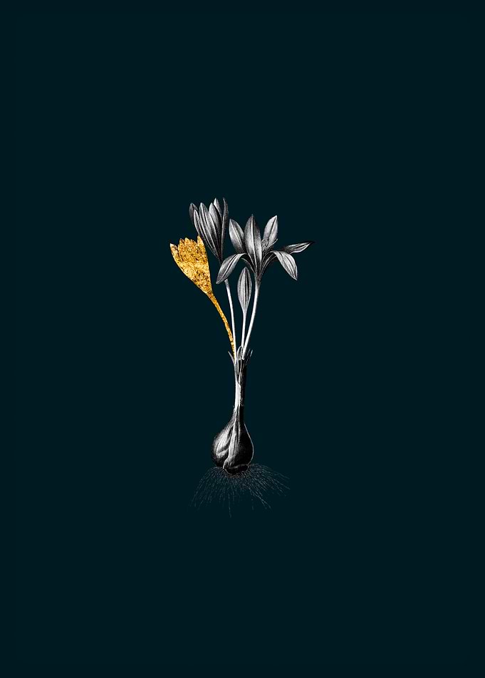 Teal and Gold Crocus