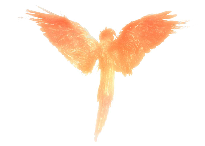 Golden Parrot
