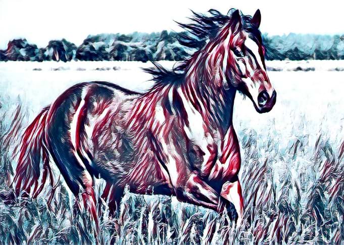 Run Free