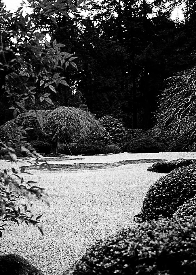 Rock Garden