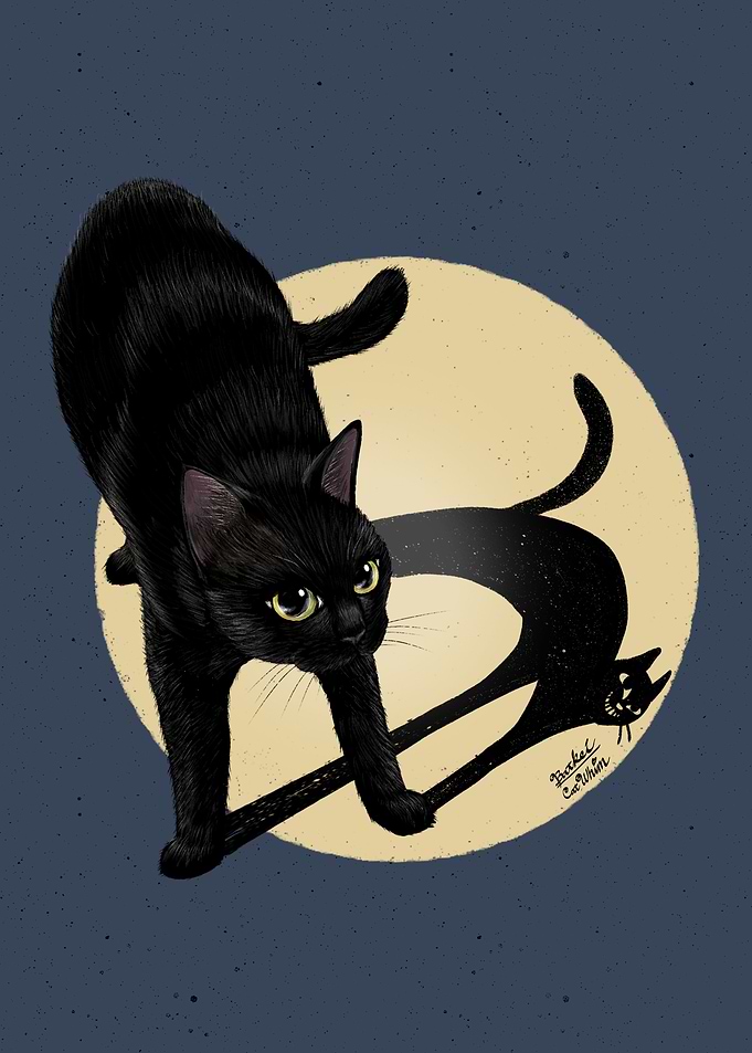 Naughty shadow
