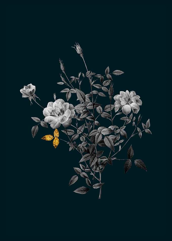 Teal and Gold Dwarf Rose
