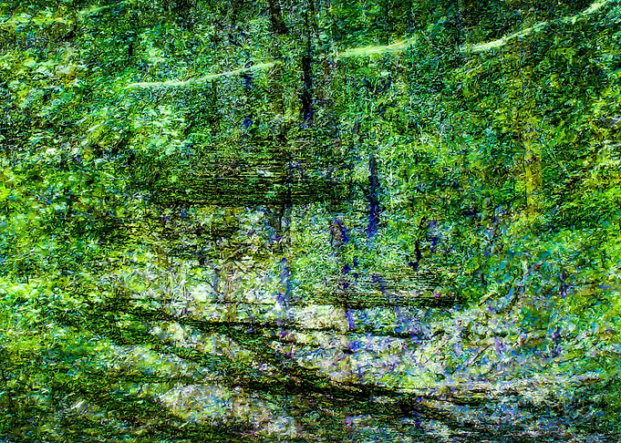 Image E