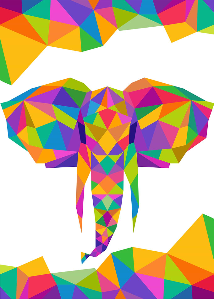 Elephant Geometric Color