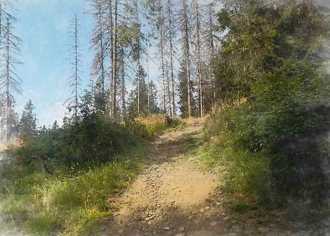 Mountain path