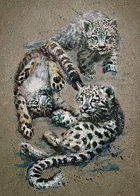 Snow leopards kids