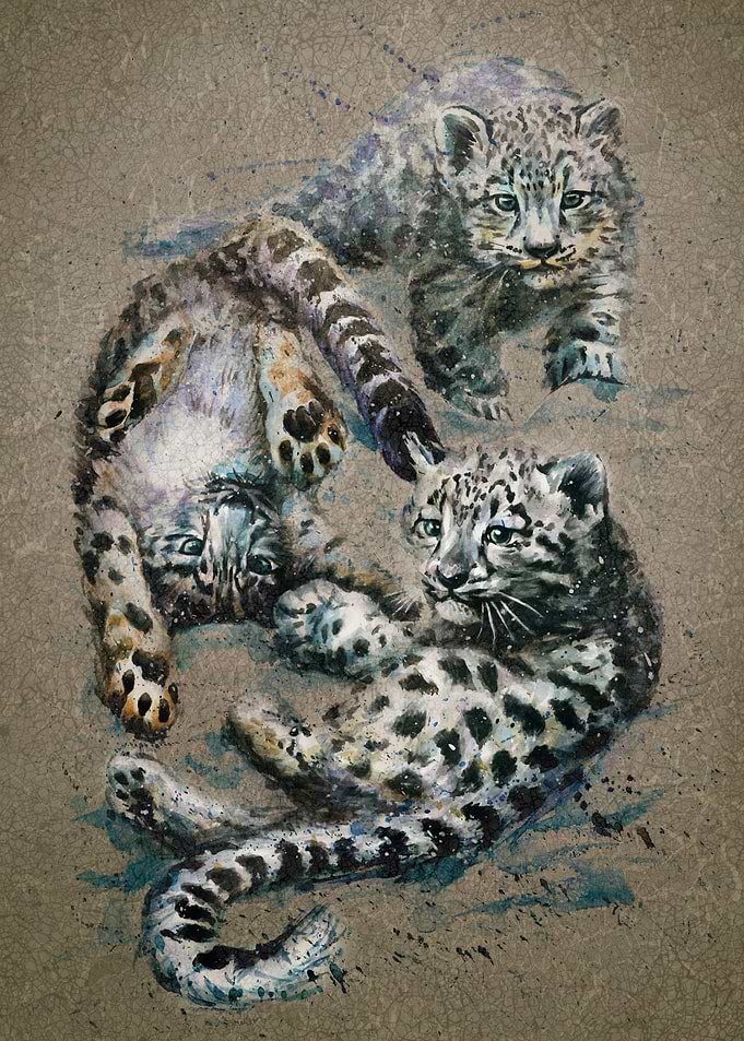 Snow leopards kids