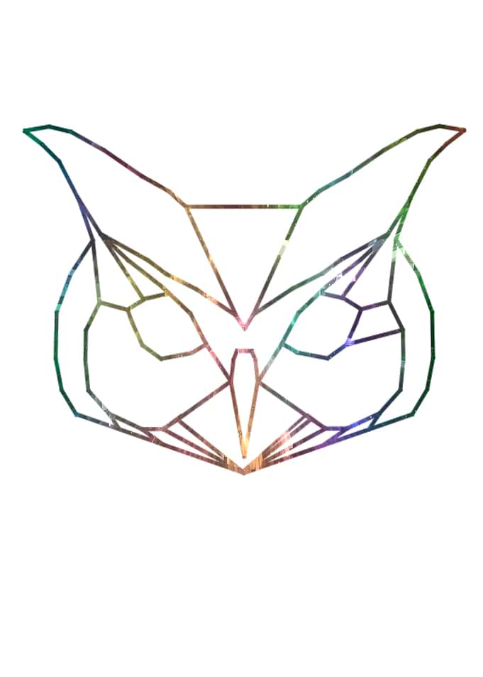 Colorful owl