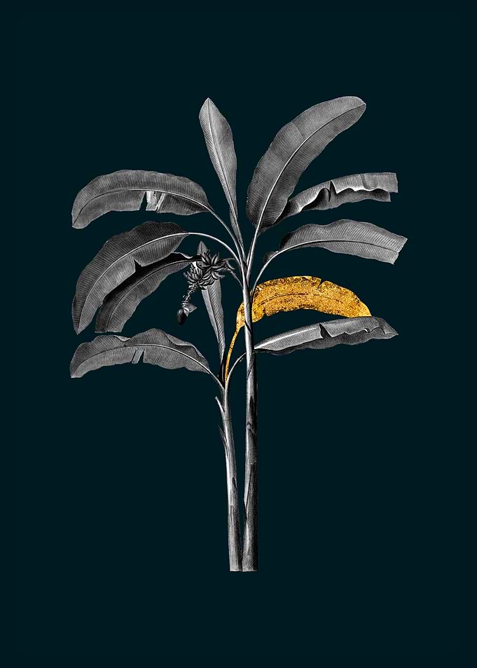 Teal and Gold Banana Tree