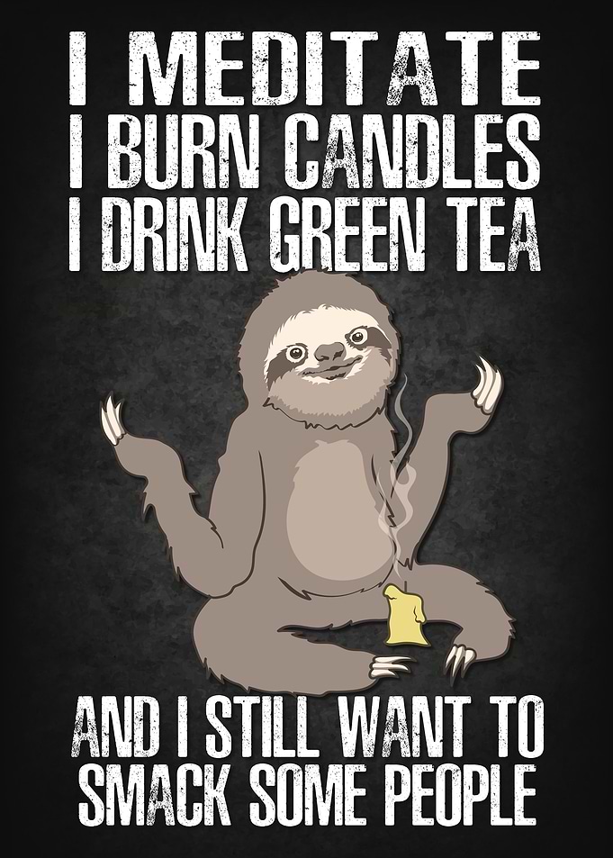 Sloth I Meditate