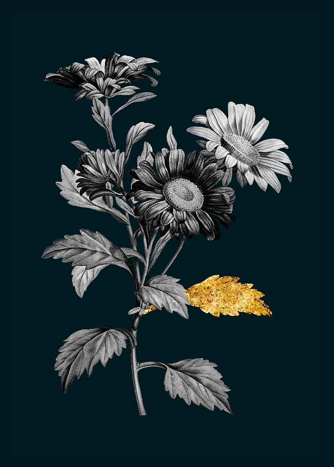 Teal and Gold Aster Flower